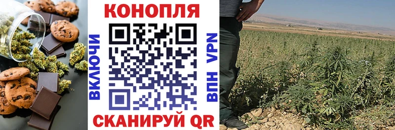 Купить закладки  Вихоревка  Еда ТГК конопля 
