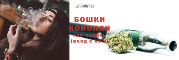 спайс Верея