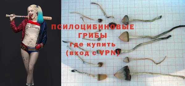 спайс Верея