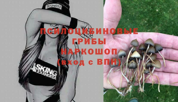 spice Верхнеуральск