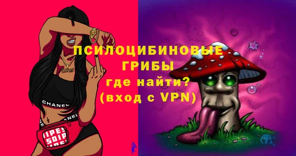 спайс Верея